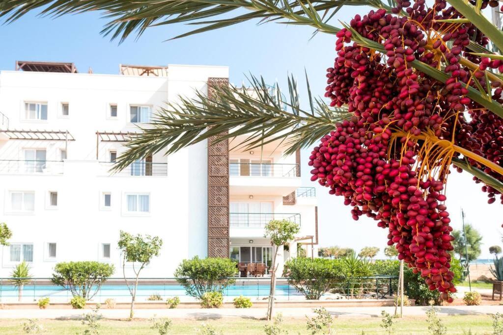 Private Beach Resort Cyprus Vokolidha ภายนอก รูปภาพ